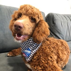 Meet your Posher, Jasmine